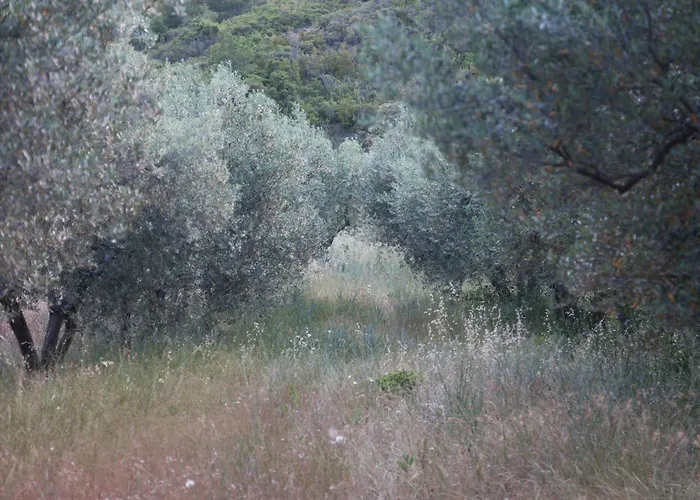 Mas De Baubesse: Paradise In Provence